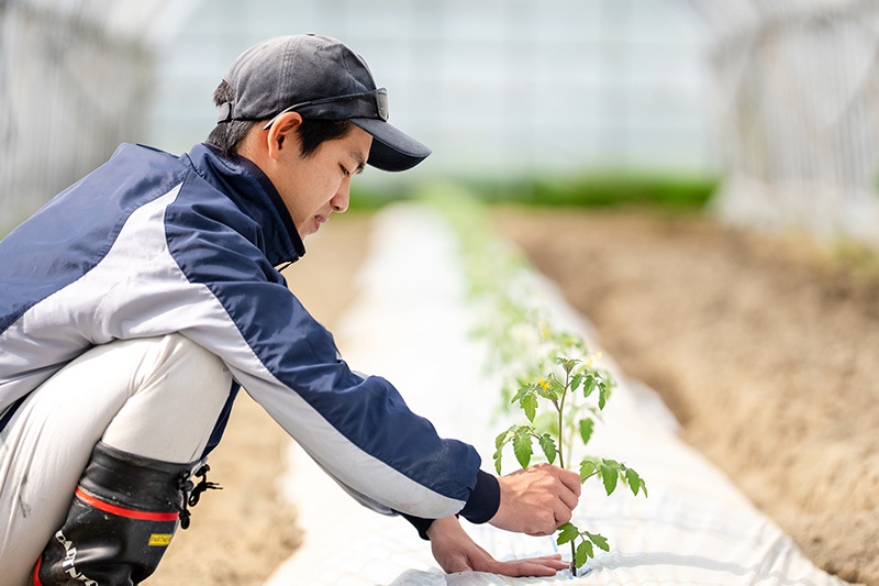 西風農園の始まり