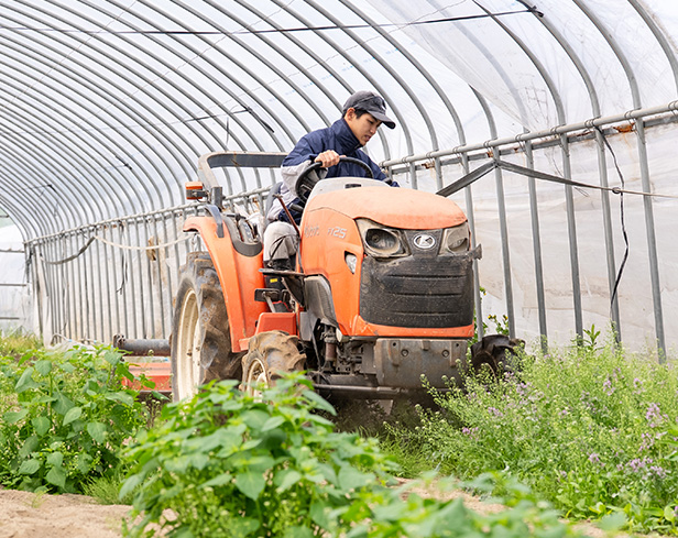 西風農園の風景2