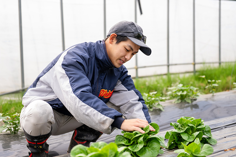西風農園代表 上杉幸平